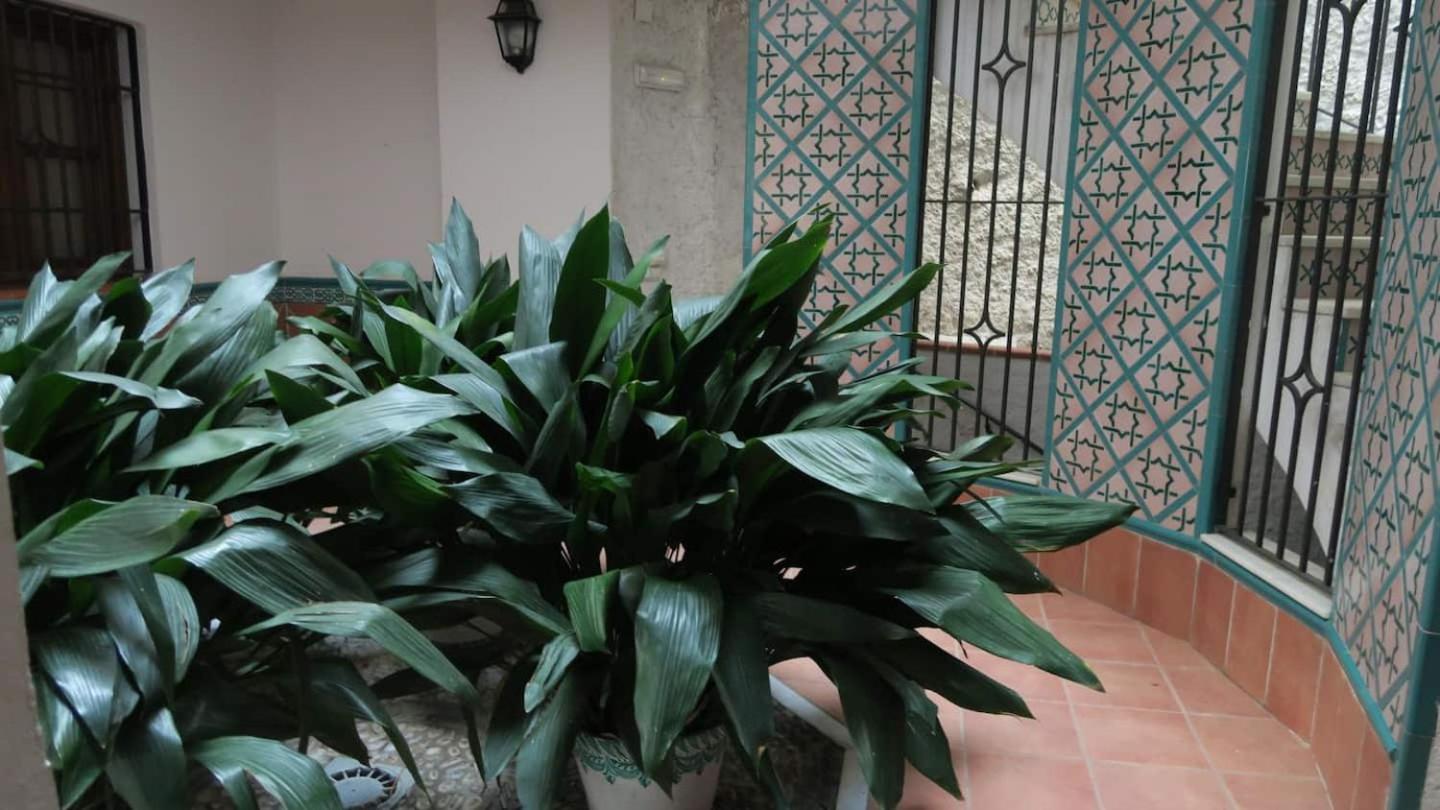 Charming Albaicin Patio Flat Free Onsite Parking Granada Exterior foto