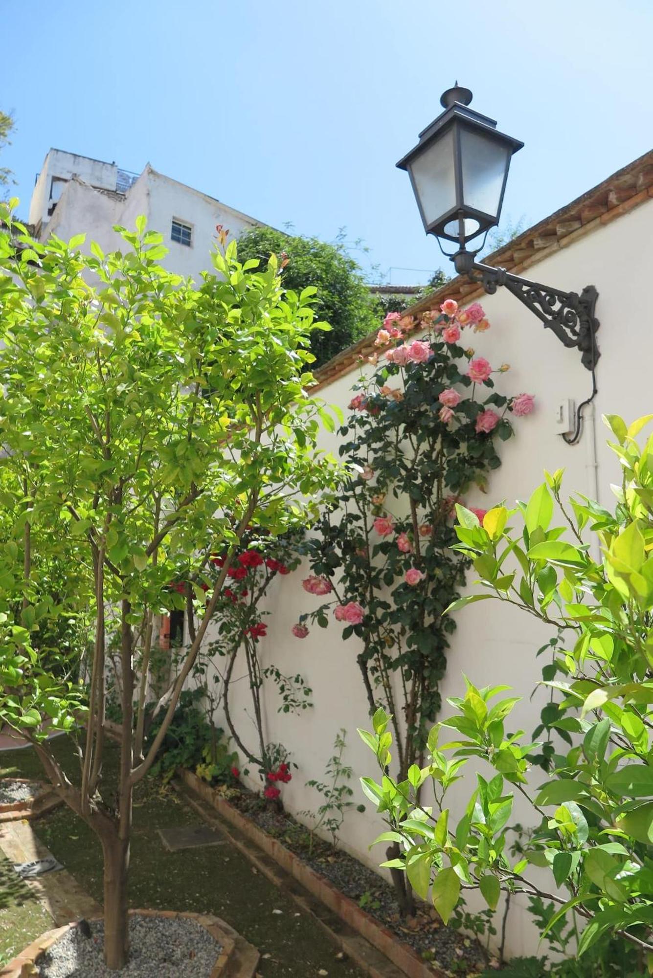 Charming Albaicin Patio Flat Free Onsite Parking Granada Exterior foto